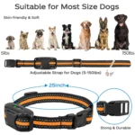 3300Ft Electric Dog Training Collar Remote Control Waterproof Pet BehaviorFor 5-120lbs Puppy With Shock Vibration - Image 4