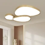 Home Design Ceiling Light - Image 3