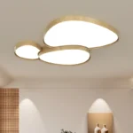 Home Design Ceiling Light - Image 4