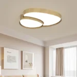 Home Design Ceiling Light - Image 6