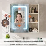 Anti-Fog LED Vanity Mirror Bathroom Furniture Cabinet