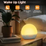Digital Alarm Clock with Sunrise Simulation Dimmable Night Light White Noise Sound