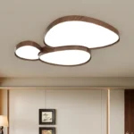Home Design Ceiling Light
