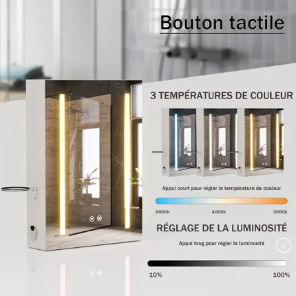 LED Bathroom Mirror Cabinet Wall - Adjustable Shelf