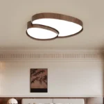 Home Design Ceiling Light - Image 5