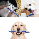 50 Piece Cat Dog Pet Toothbrush Set Double Headed Convenient Finger Brushes For Safe Dog Cat Care - Image 6