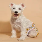 Washable Female Pet Physiology Pants Printed Anti-Nuisance Diaper Easy to Wear and Reusable Suitable for Menstruating Girl Dog - Image 2