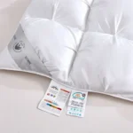 High Grade 100% White Goose Down Quilt Winter Warm - Image 4